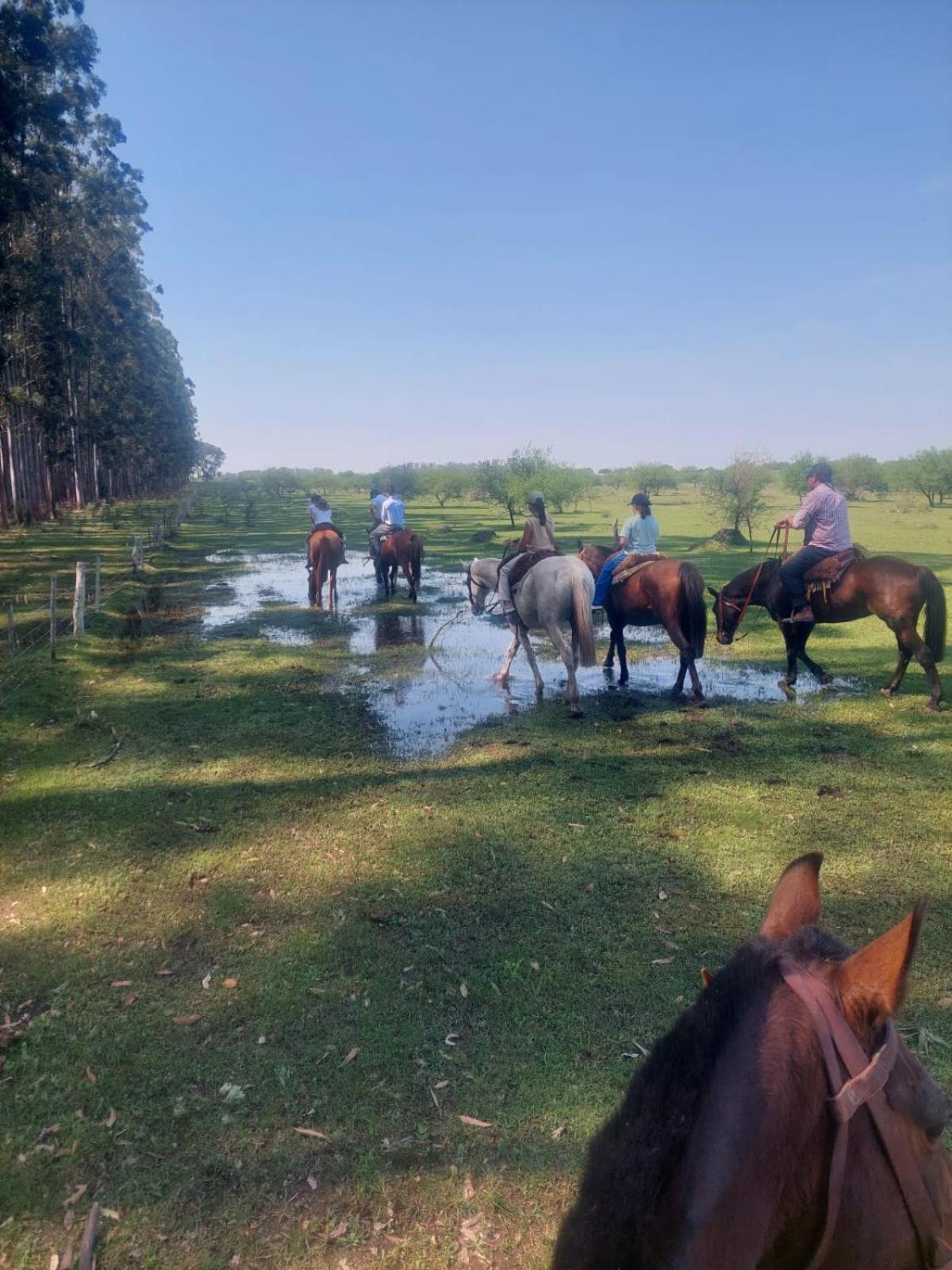 Estancia La Violeta Chajarí Zewnętrze zdjęcie