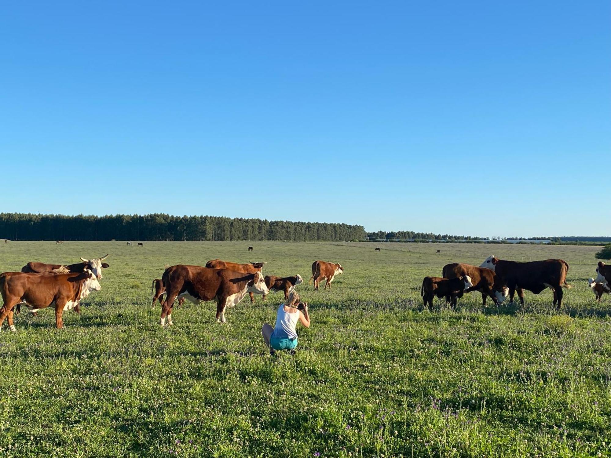Estancia La Violeta Chajarí Zewnętrze zdjęcie