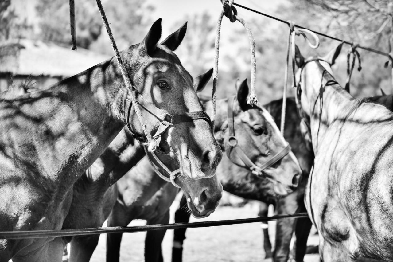 Estancia La Violeta Chajarí Zewnętrze zdjęcie