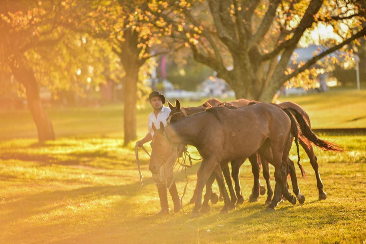 Estancia La Violeta Chajarí Zewnętrze zdjęcie