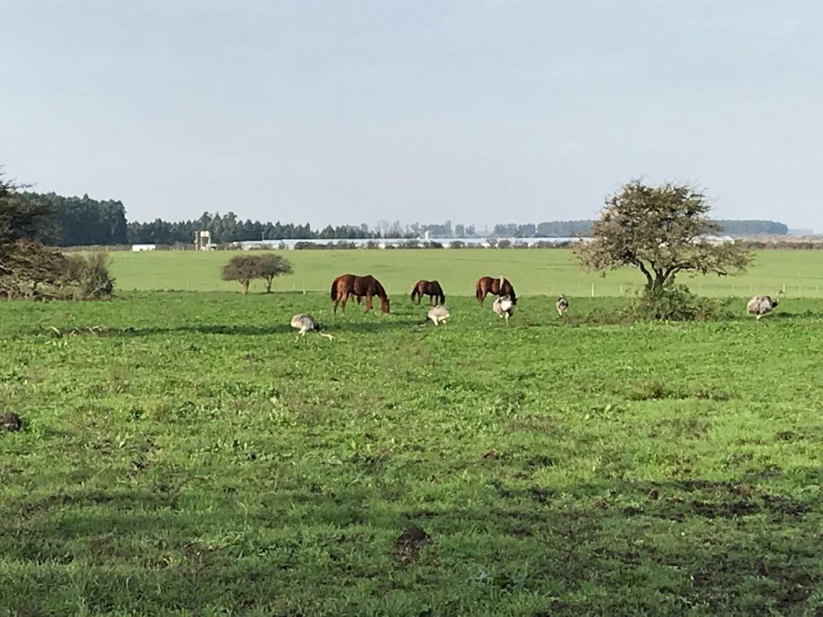 Estancia La Violeta Chajarí Zewnętrze zdjęcie